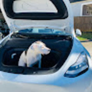 Meet your Posher, Logan